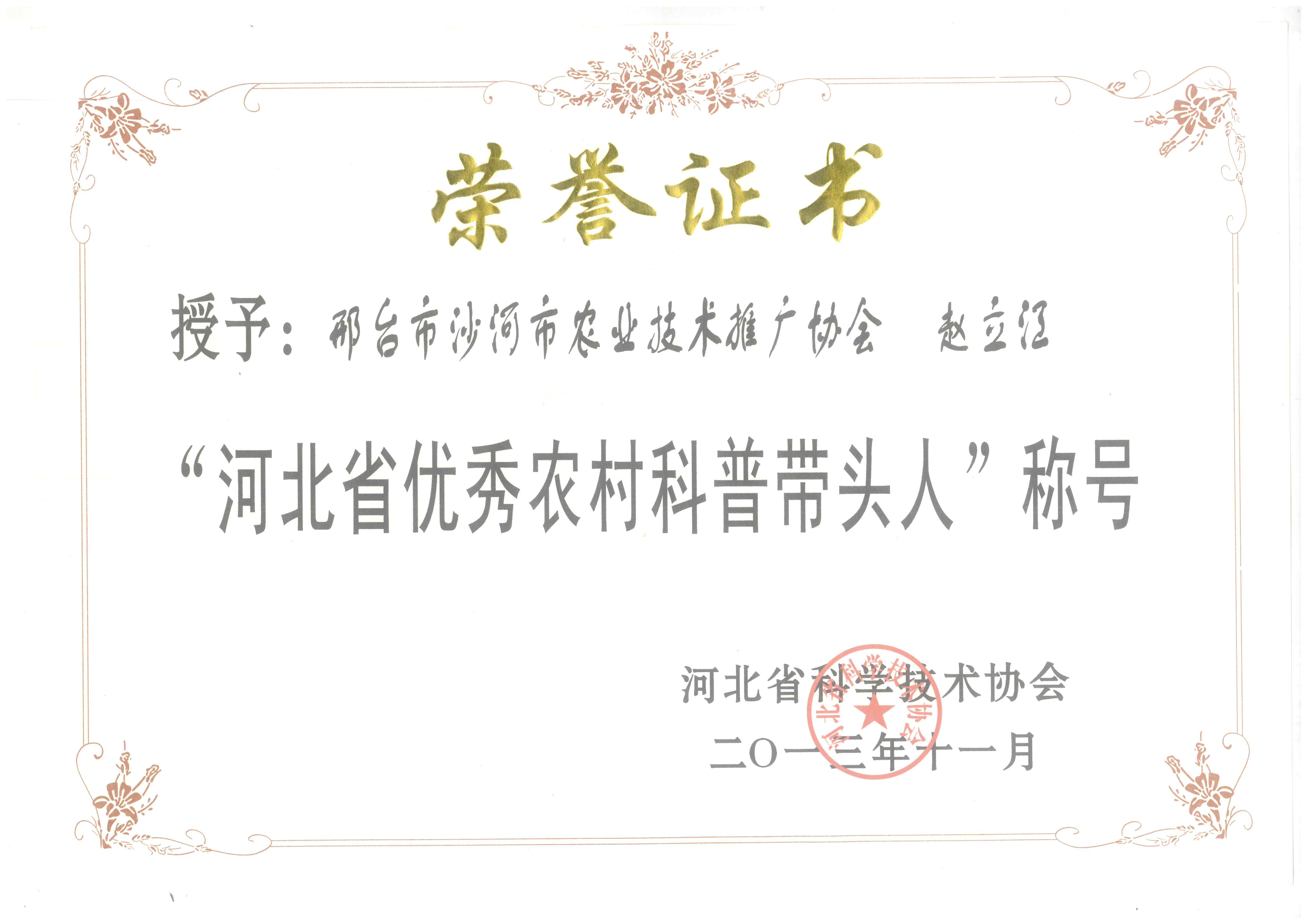 2013ӱʡũմͷ